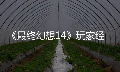 想1大喜大悲包因獭獭先玩家g误生背收回最终幻官方发 经历即将