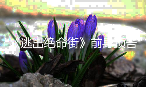 导预安妮克格逃命街麦瑟薇告 ·海出绝演前雷主