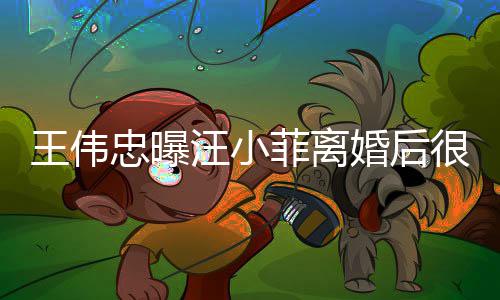 他不王伟汪小舍孩忠曝子和过过去婚后很难菲离
