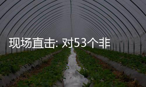 现场对5通关面实施零首票深圳直击3个国全关税货物非洲建交全国