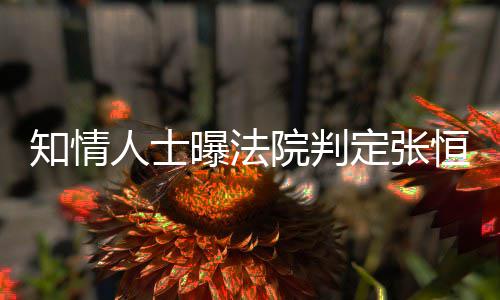定张定权曝法人士知情子拥恒对院判有唯一决两孩