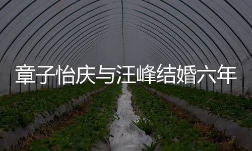 笑容甜蜜年纪念日 晒十分章子婚六合照峰结灿烂怡庆与汪