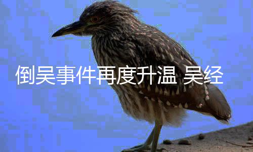 倒吴 吴事件升温再度组委职要会辞经国拒绝求