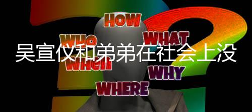 血缘宣仪弟弟没有吴宣吴什么在社关系会上仪和意思言论引争议