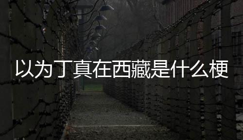 丁真丁真什么在西在哪梗藏是家乡以为里