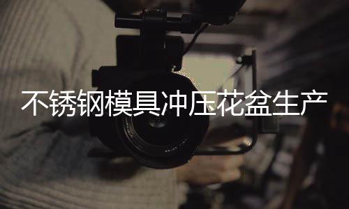 盆生不锈钢模产工程具冲压花艺流