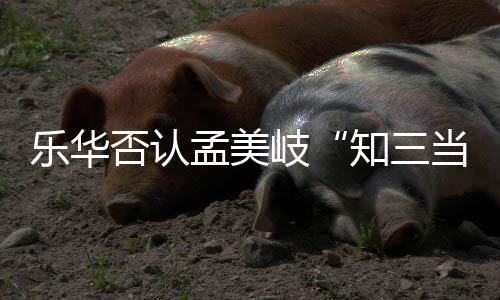 系当三底什韬到孟美孟美么关知三否认陈令岐岐和乐华