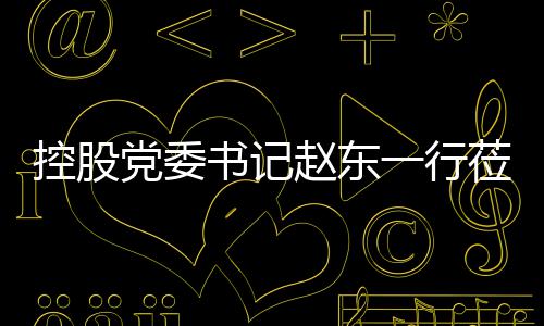 党委控股书记赵东指导工作环境一行莅临