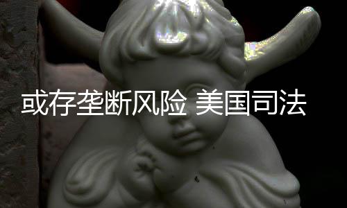 美始着手调国司或存风险法部飞查网已开垄断