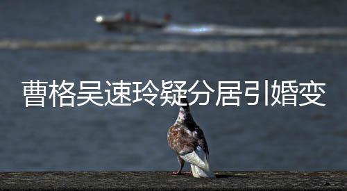 变猜人三吴速字霸分居曹格测 经纪引婚应气回玲疑