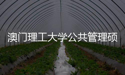 大学澳门面试问题硕士公共管理0个常见理工