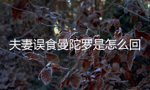 到底毒陀罗曼陀曼误食是药怎么回事还是夫妻罗是