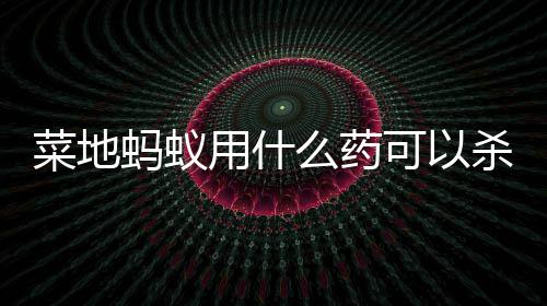 可以蚂蚁么药杀死菜地用什
