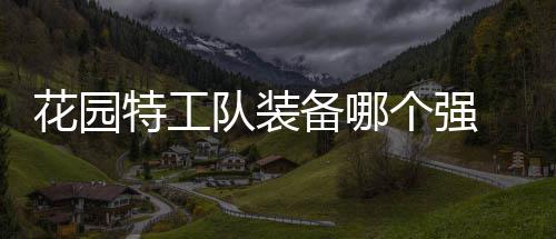 信息队装备哪特工装备个强工队花园 花分享园特