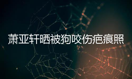 萧亚轩晒细胞皮中被狗疤痕照片在养坏死 还咬伤脸