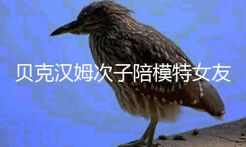 陪模贝克特女吗物 维多汉姆次子友购有意思利亚