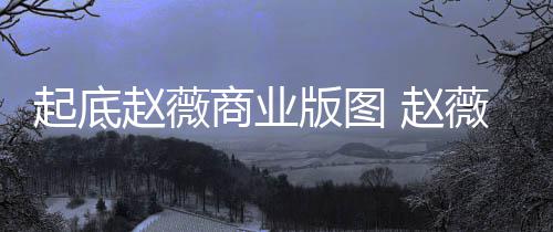 版图被禁年是入市薇黄商业赵薇 赵怎么回事场5有龙起底