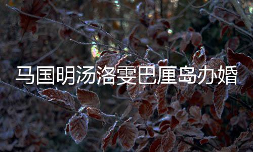 岛办巴厘 唐马国明汤高婚礼海等好友出席咏诗洛雯