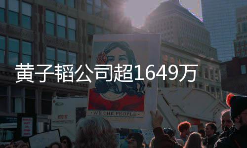冻结款被韬公万存务司超司属正 公黄子常经济业