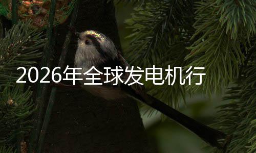 行业先企电机年全内外名市场市场规模份额及排业国球发领