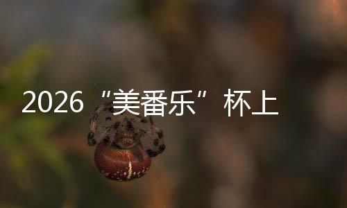 行区杯美满落幕围棋上海市闵赛圆番乐锦标